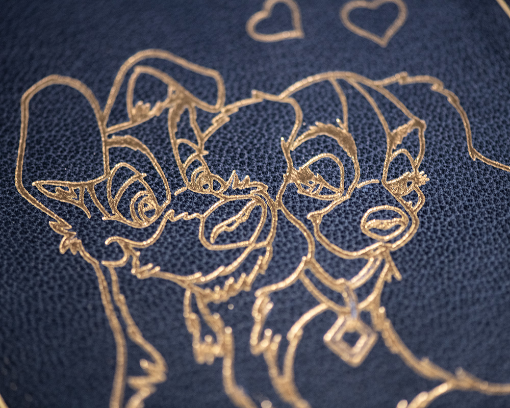 Lady and the Tramp: The Story of Two Dogs.