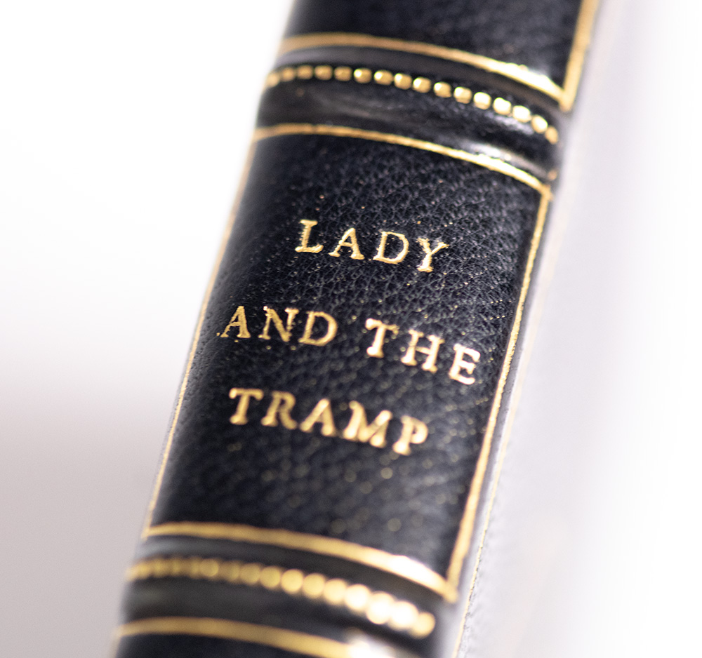 Lady and the Tramp: The Story of Two Dogs.