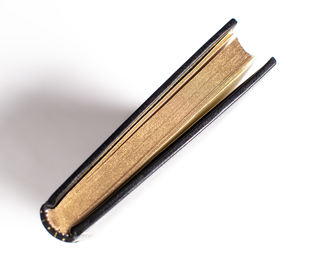 Lady and the Tramp: The Story of Two Dogs.