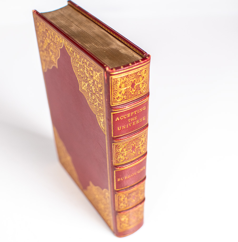 The Writings of John Burroughs: Accepting the Universe.