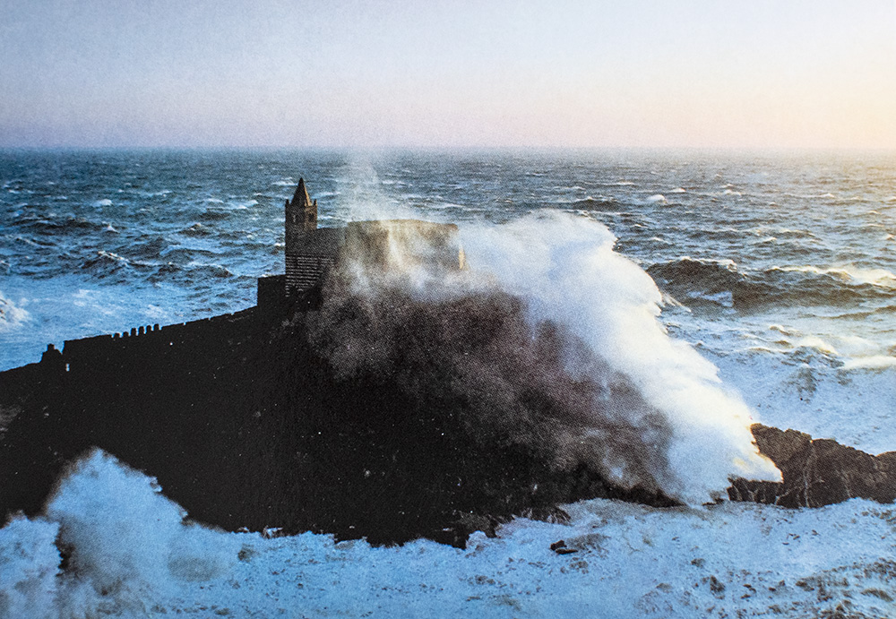 A Hedonist in the Cellar: Adventures in Wine.