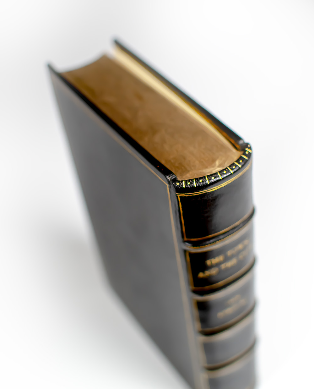 The Novels of Jack Kerouac: The Town and the City, On the Road, The Subterraneans, The Dharma Bums, Doctor Sax, Maggie Cassidy, Tristessa, Book of Dreams, Big Sur, Visions of Gerard, Desolation Angels, Satori in Paris, Vanity of Duluoz.