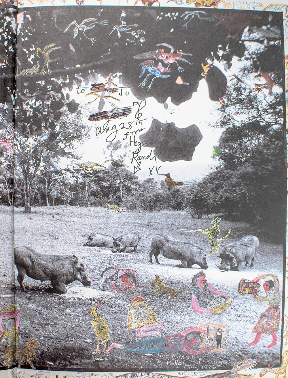 Zara's Tales: Perilous Escapades in Equatorial Africa.