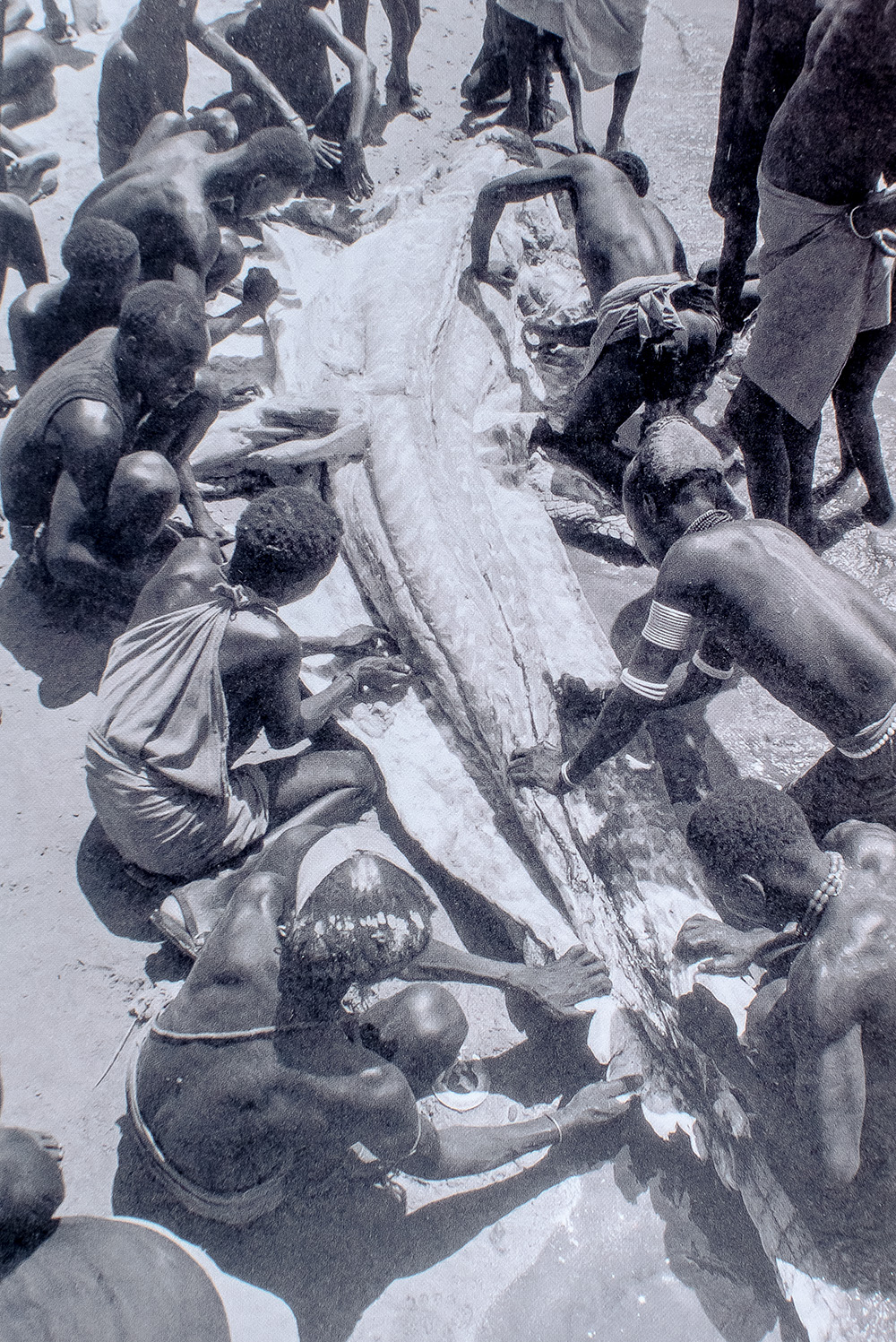 Zara's Tales: Perilous Escapades in Equatorial Africa.