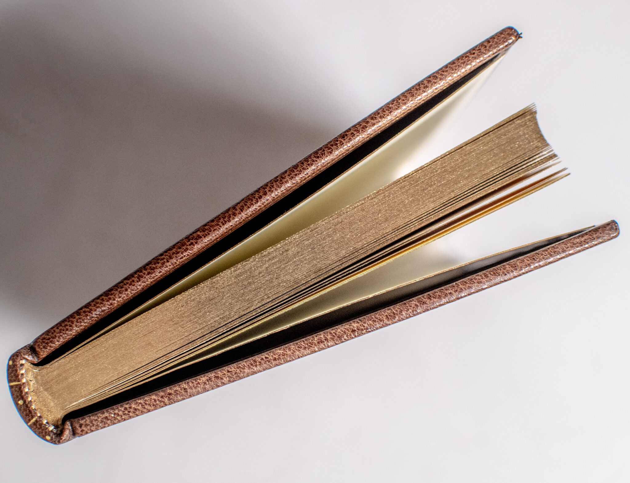 A Bear Called Paddington.