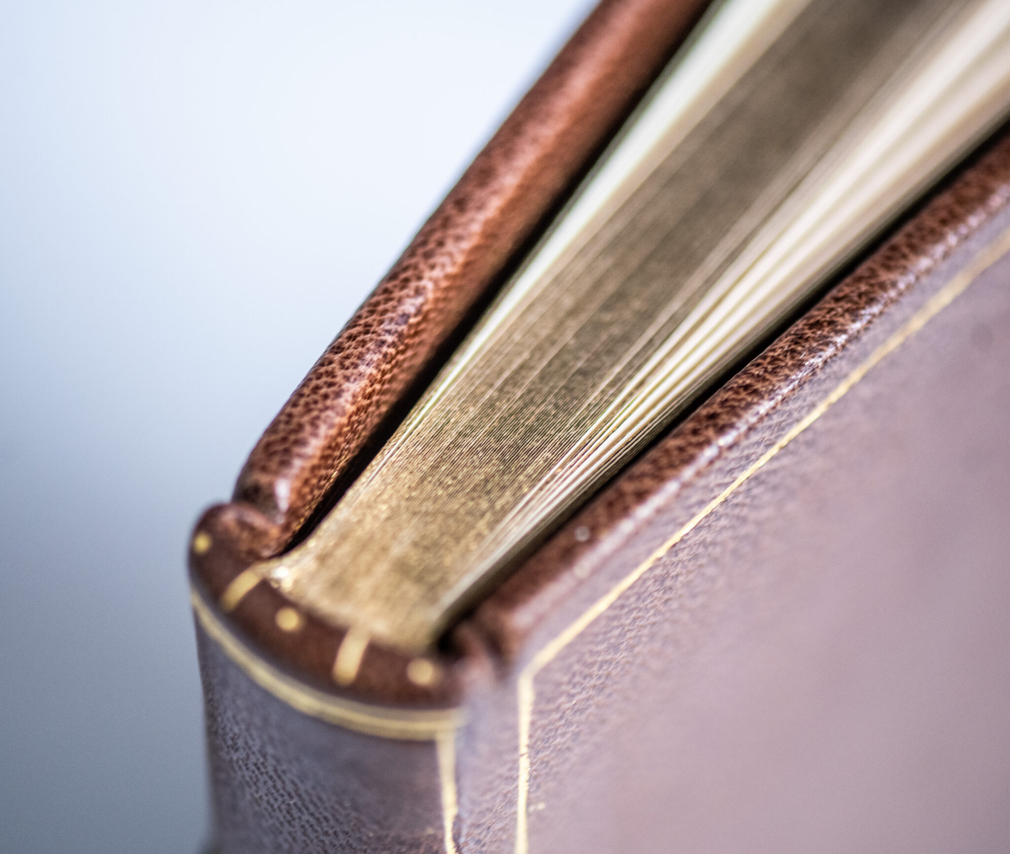 A Bear Called Paddington.