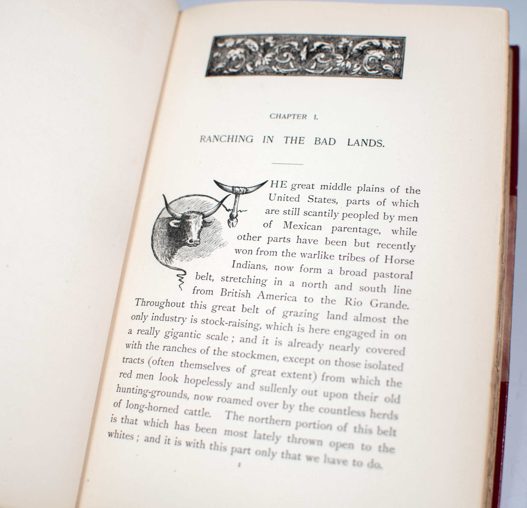 Hunting Trips of a Ranchman. Sketches of Sport on the Northern Cattle Plains.