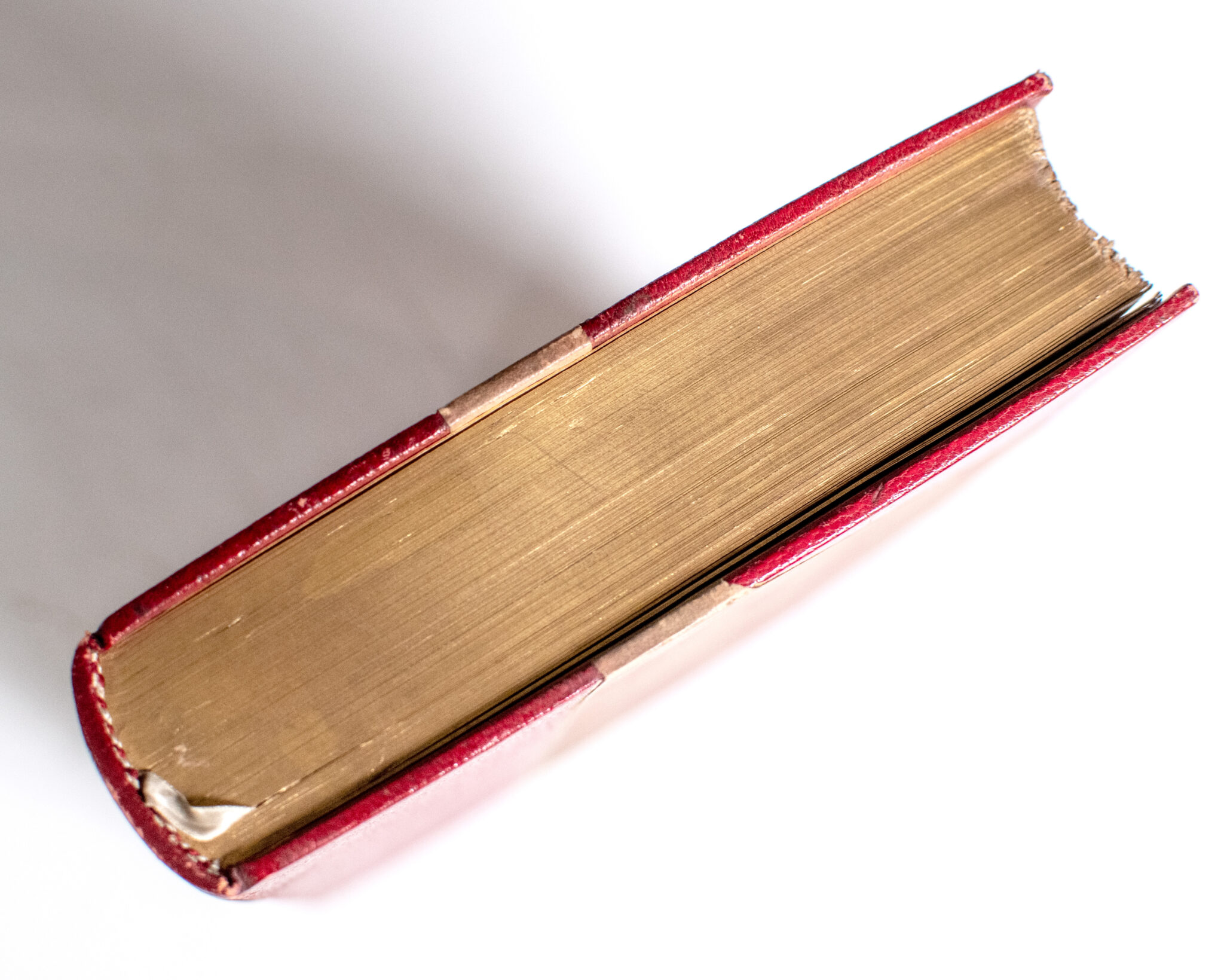 Hunting Trips of a Ranchman. Sketches of Sport on the Northern Cattle Plains.