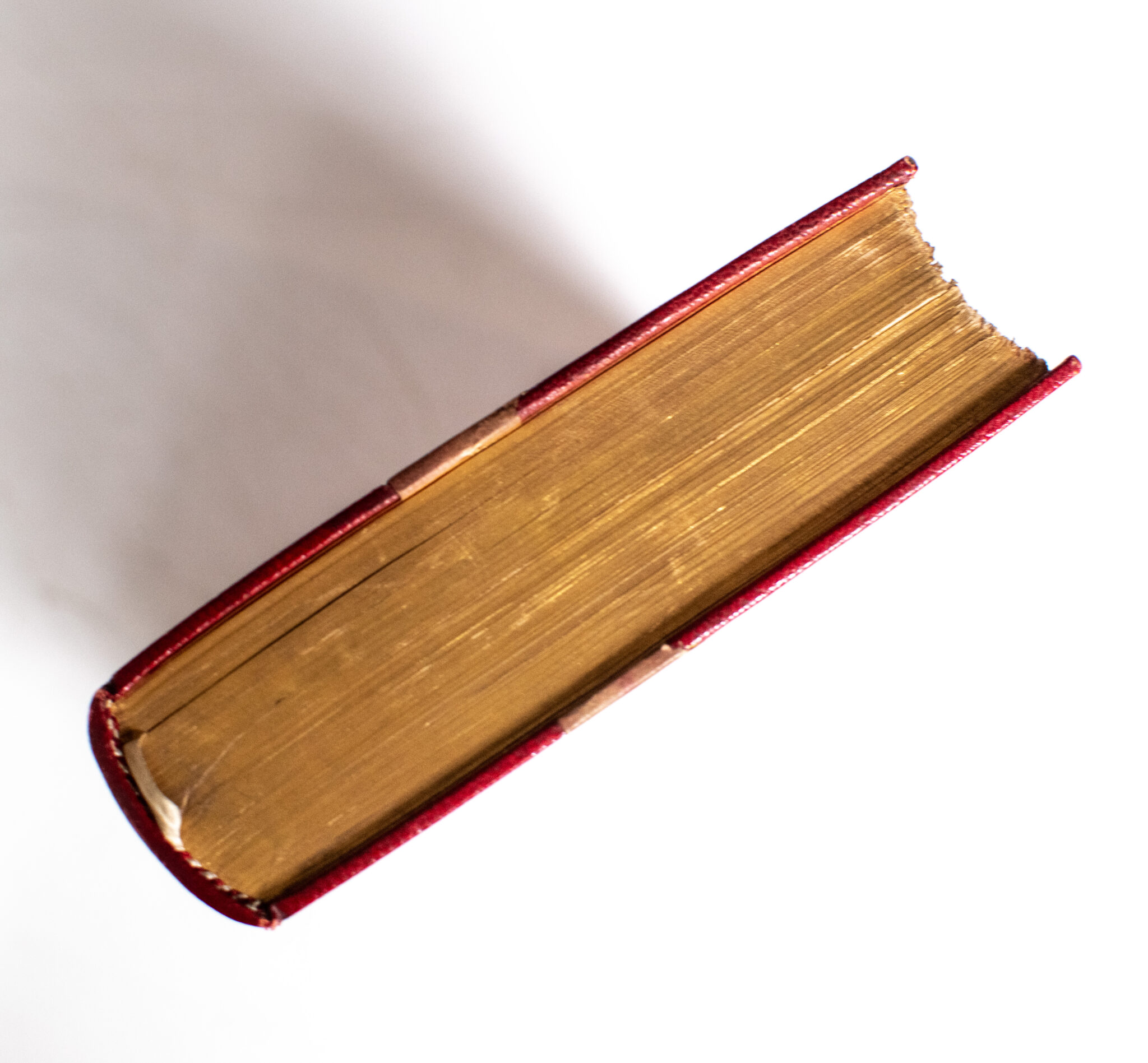 The Wilderness Hunter: An Account Of The Big Game Of The United States And Its Chase With Horse, Hound And Rifle.