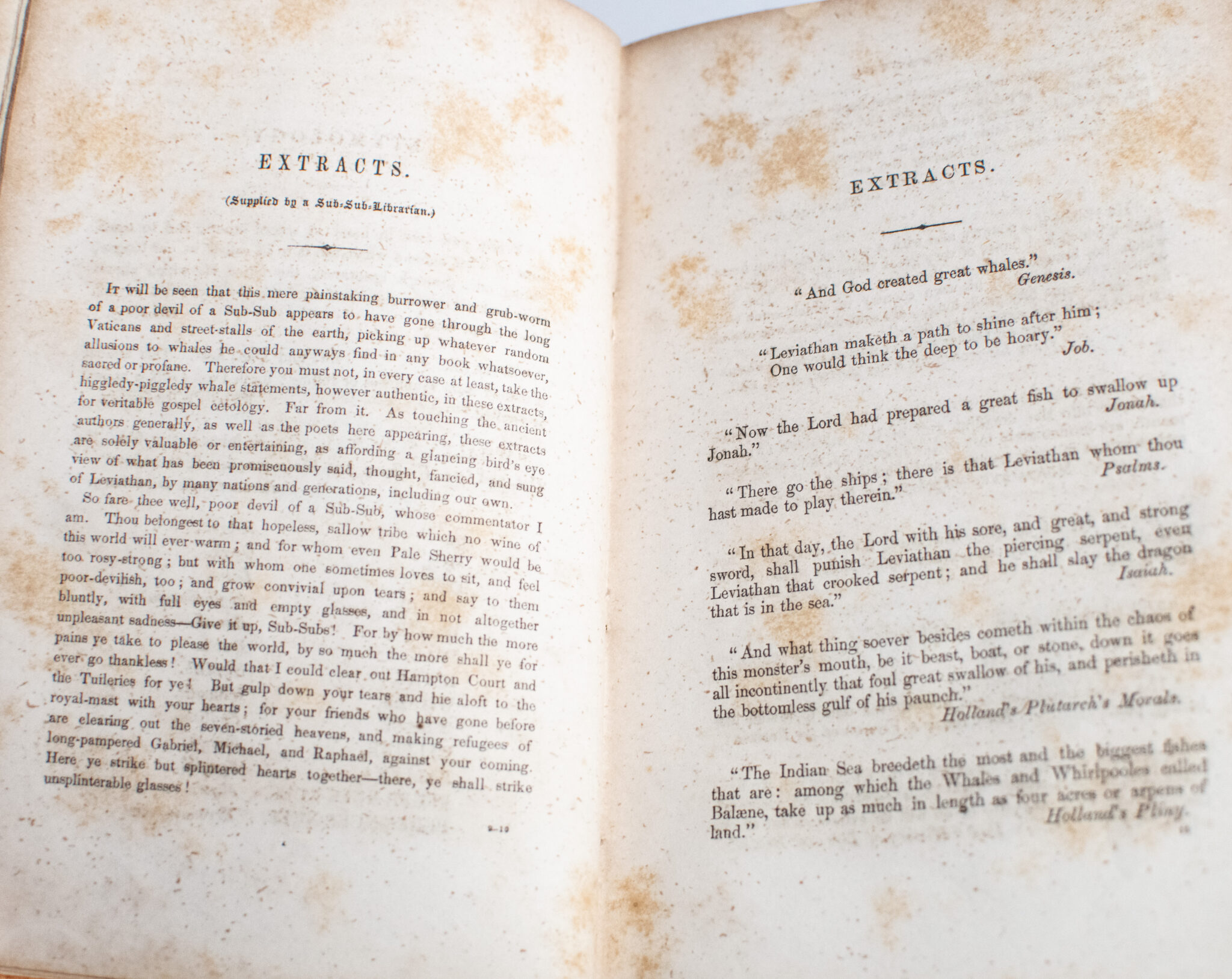 Moby-Dick; Or, The Whale.