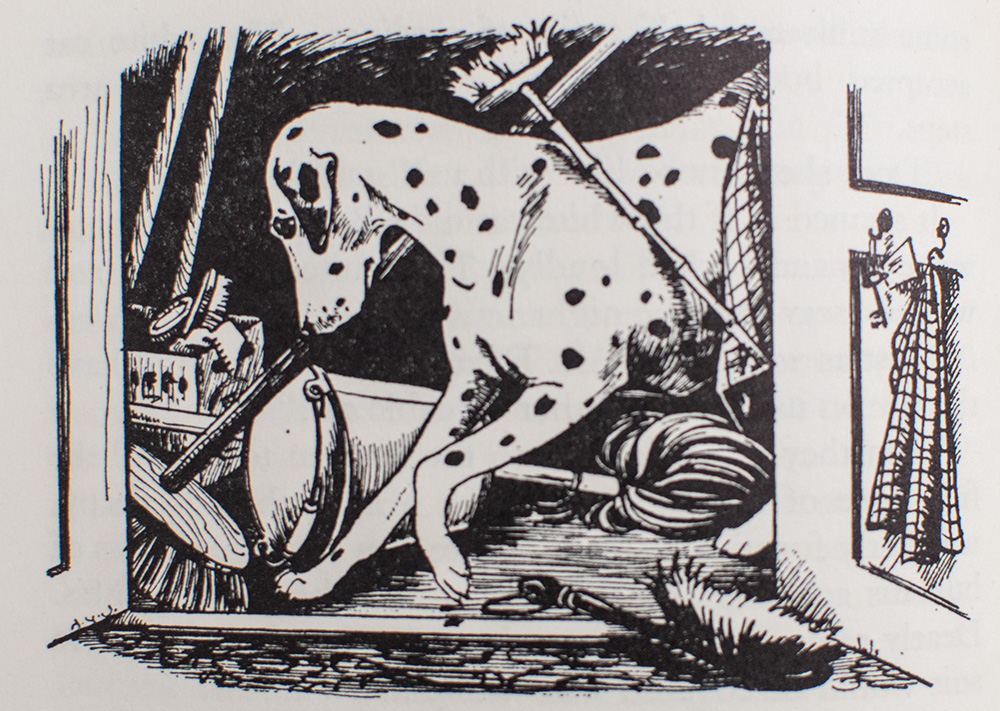 The Hundred and One Dalmatians.