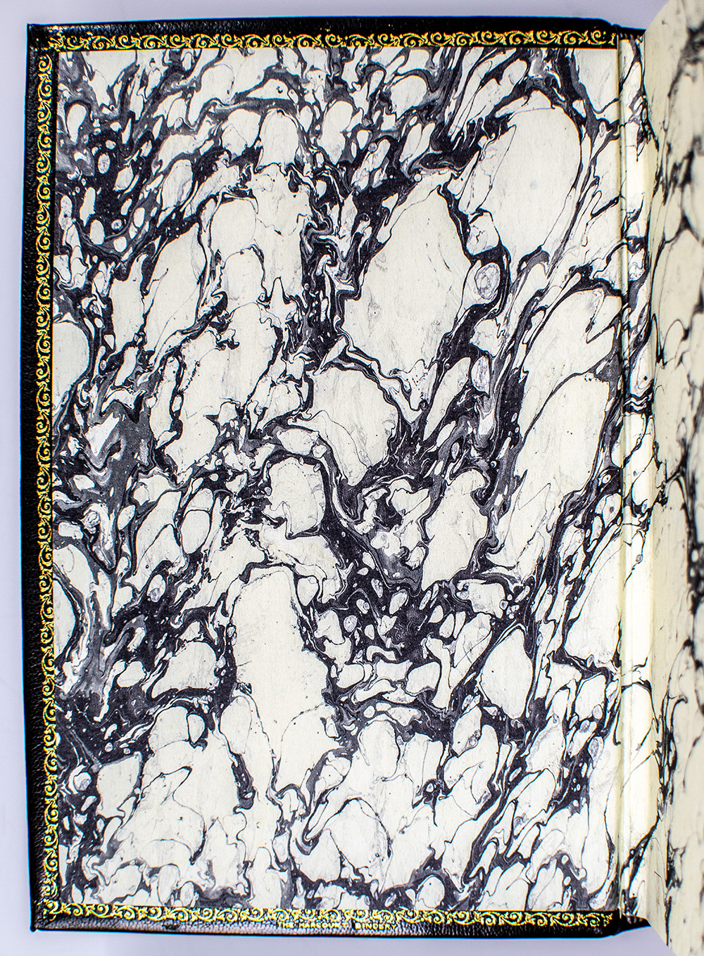 The Hundred and One Dalmatians.