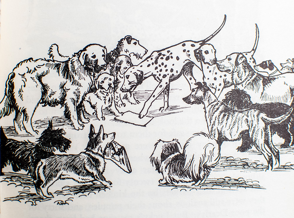 The Hundred and One Dalmatians.