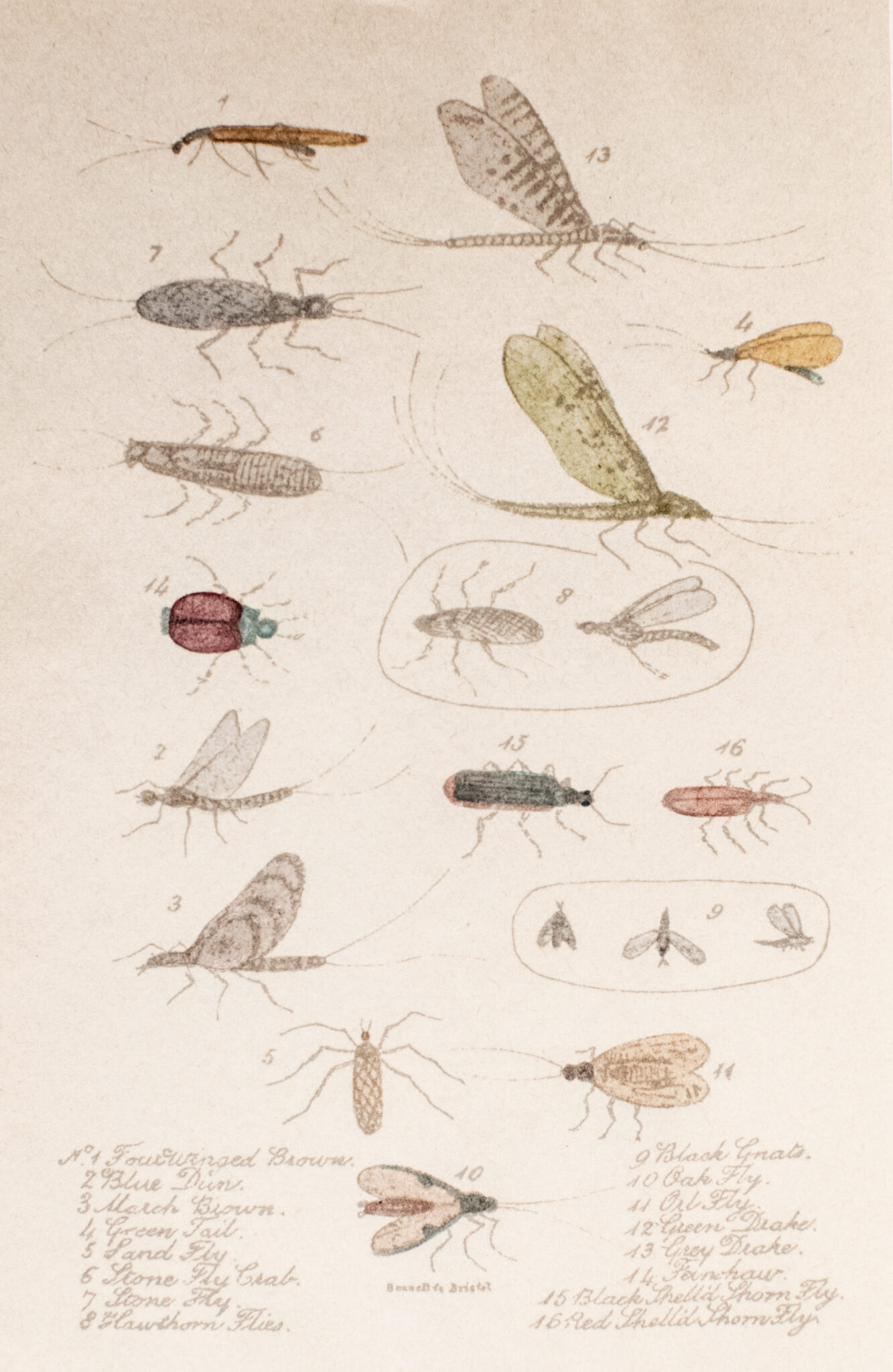 The Fly Fisher's Legacy.