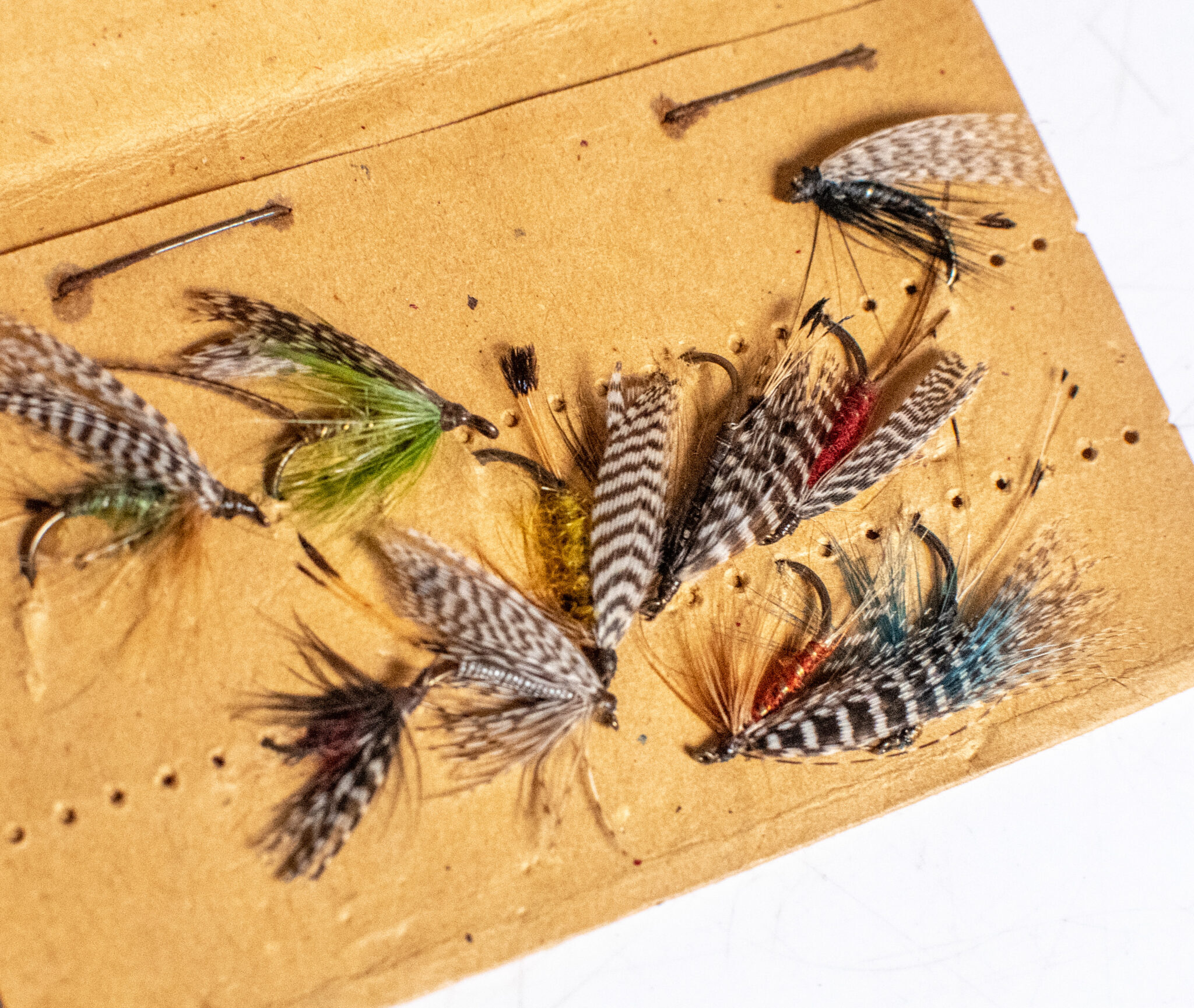Modern Trout Fly Dressing.