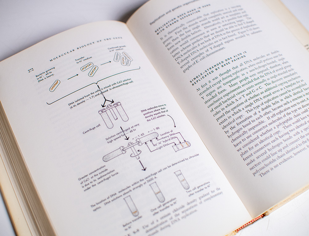 Molecular Biology of the Gene.