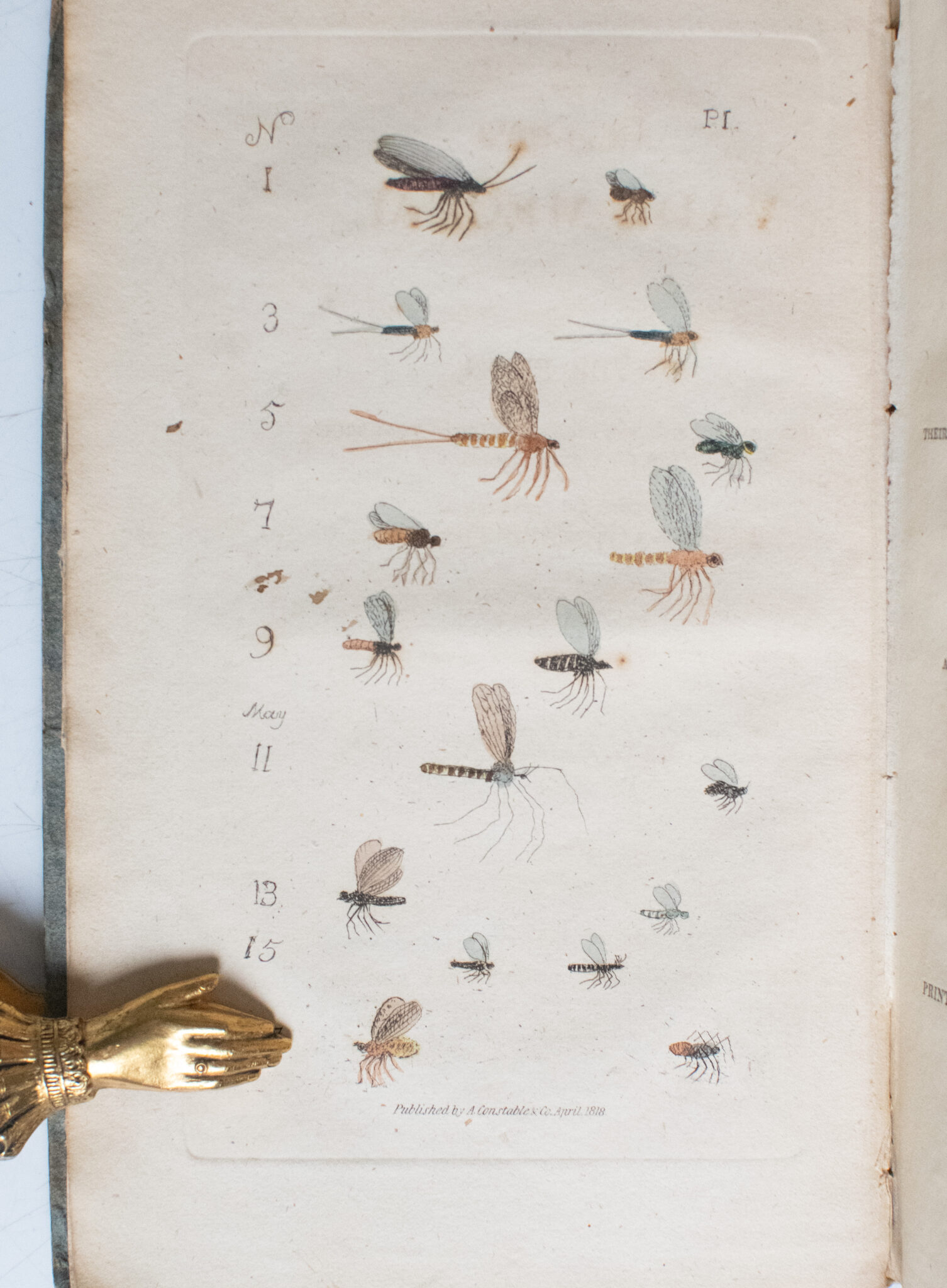 The Angler's Vade Mecum, Containing a Descriptive Account of the Water Flies, Their Seasons, and the Kind of Weather that Brings Them Most on the Water.
