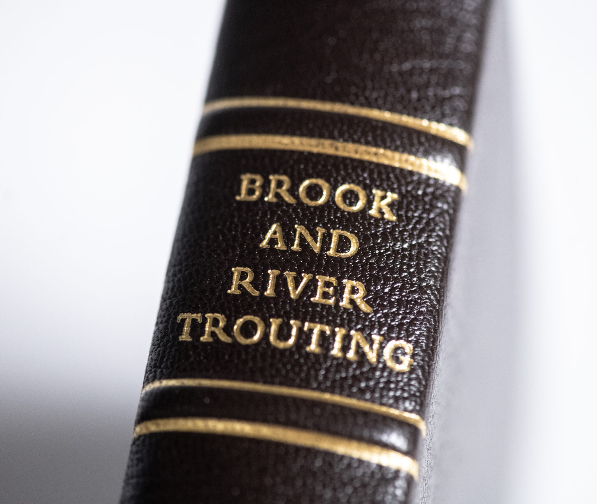 Brook and River Trouting.