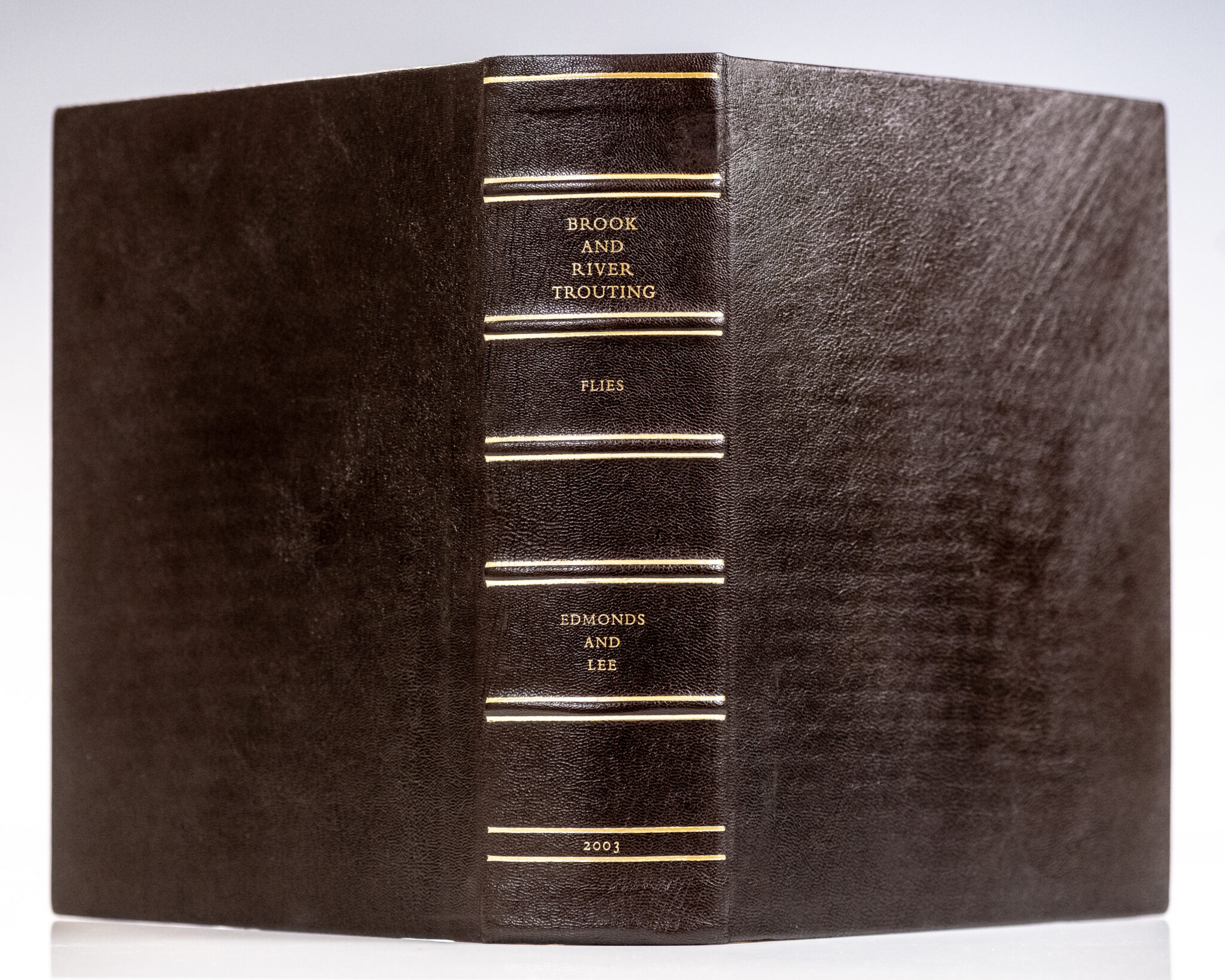 Brook and River Trouting.