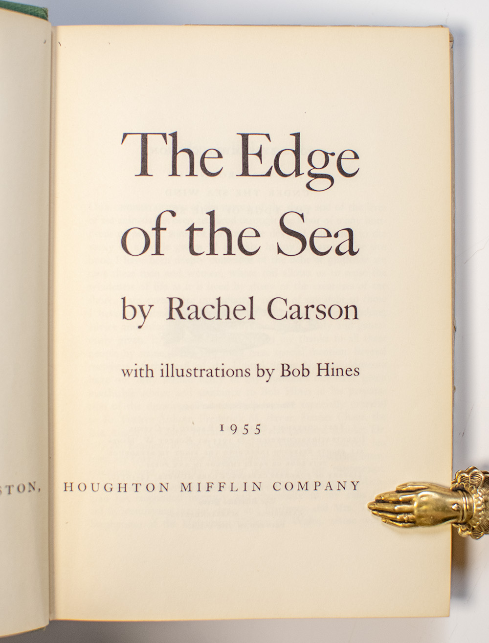 The Edge of the Sea.