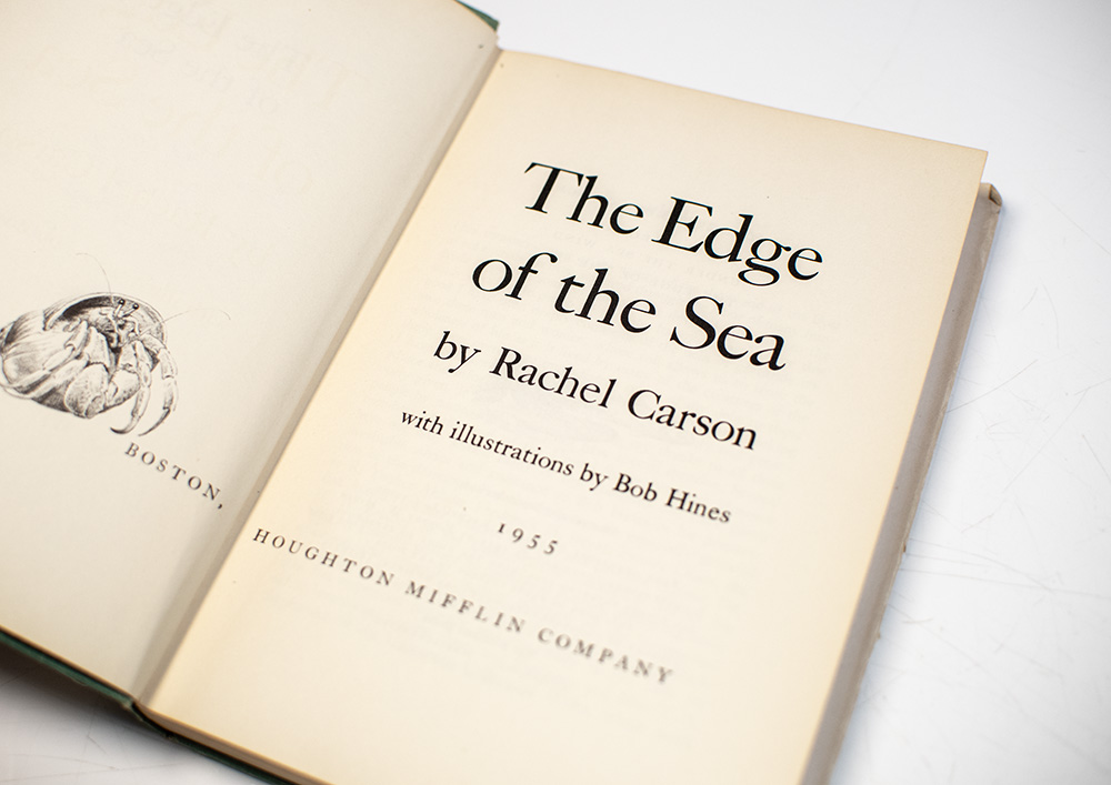 The Edge of the Sea.