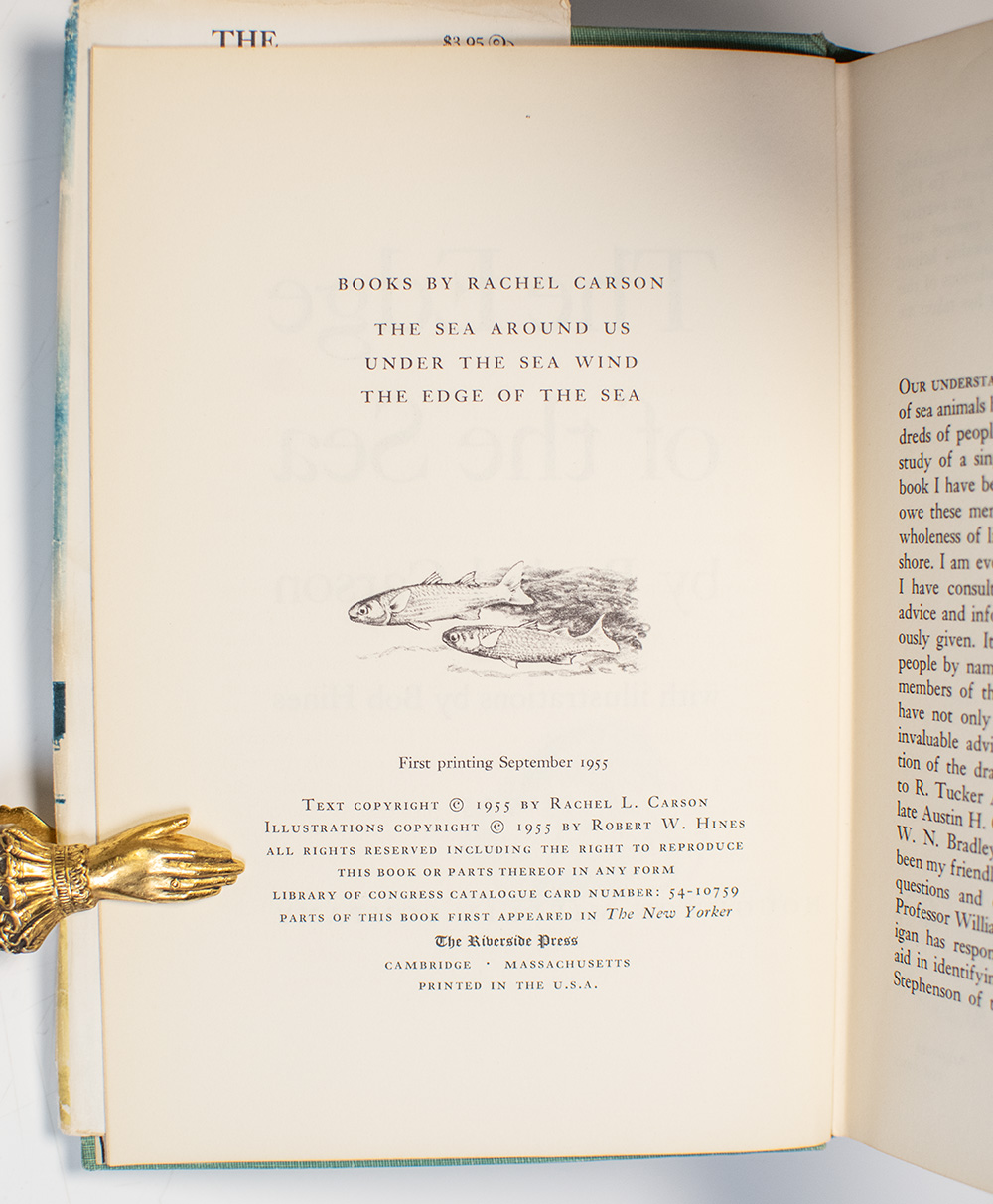 The Edge of the Sea.