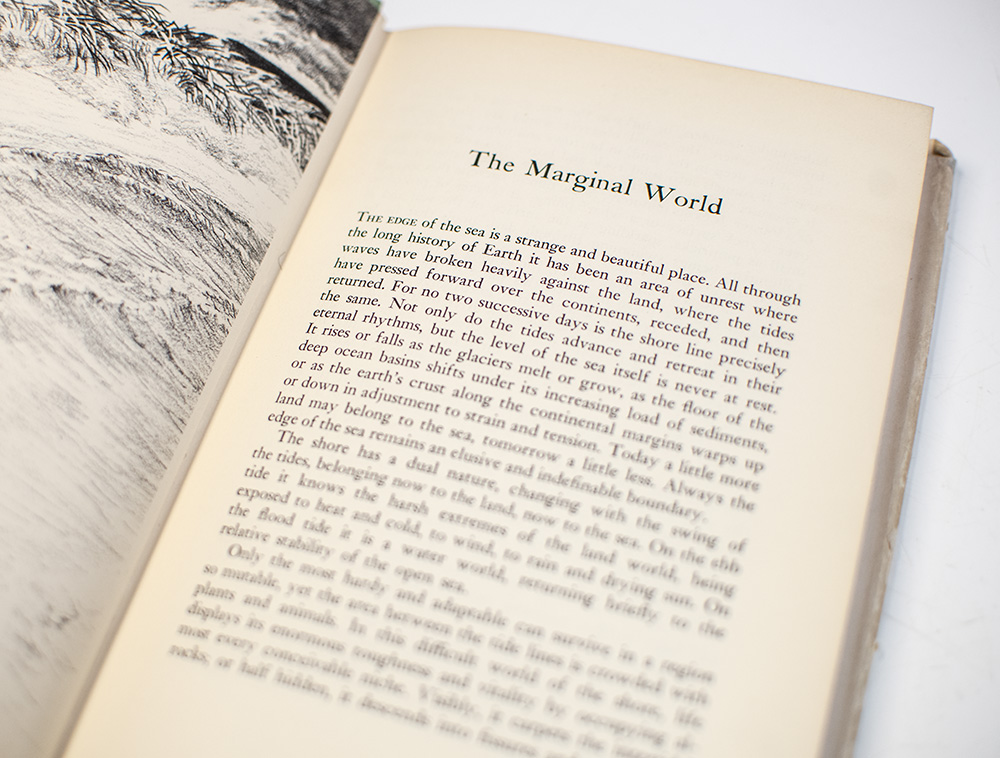 The Edge of the Sea.