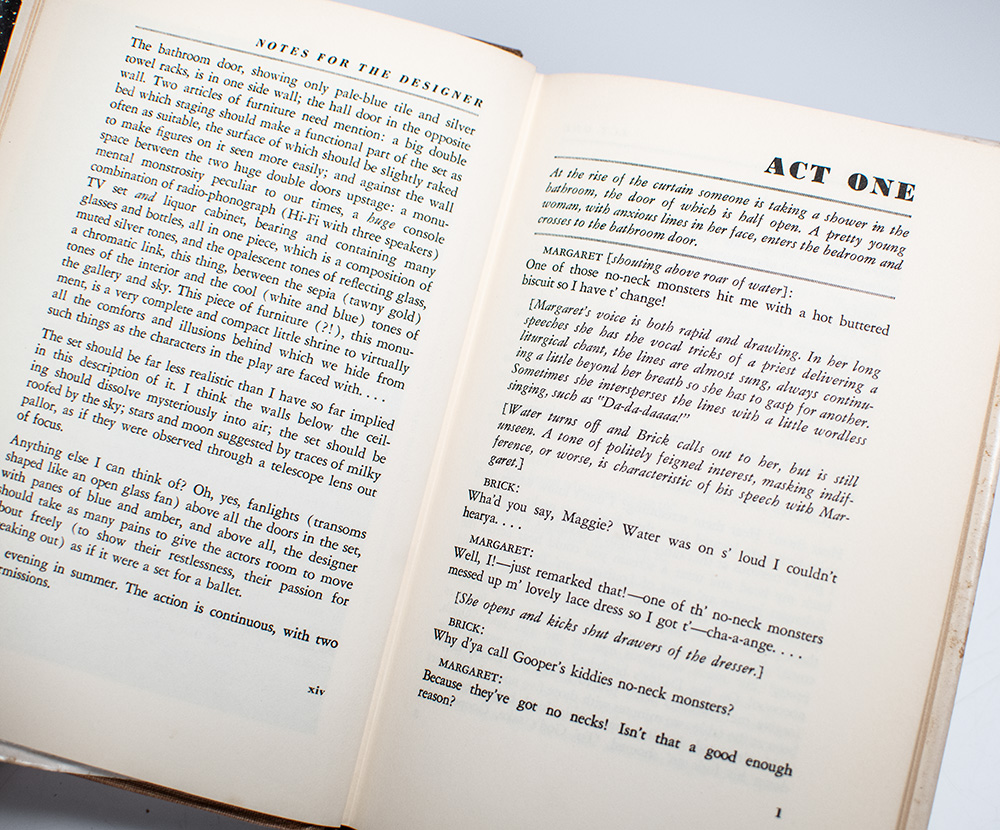 Cat On A Hot Tin Roof.