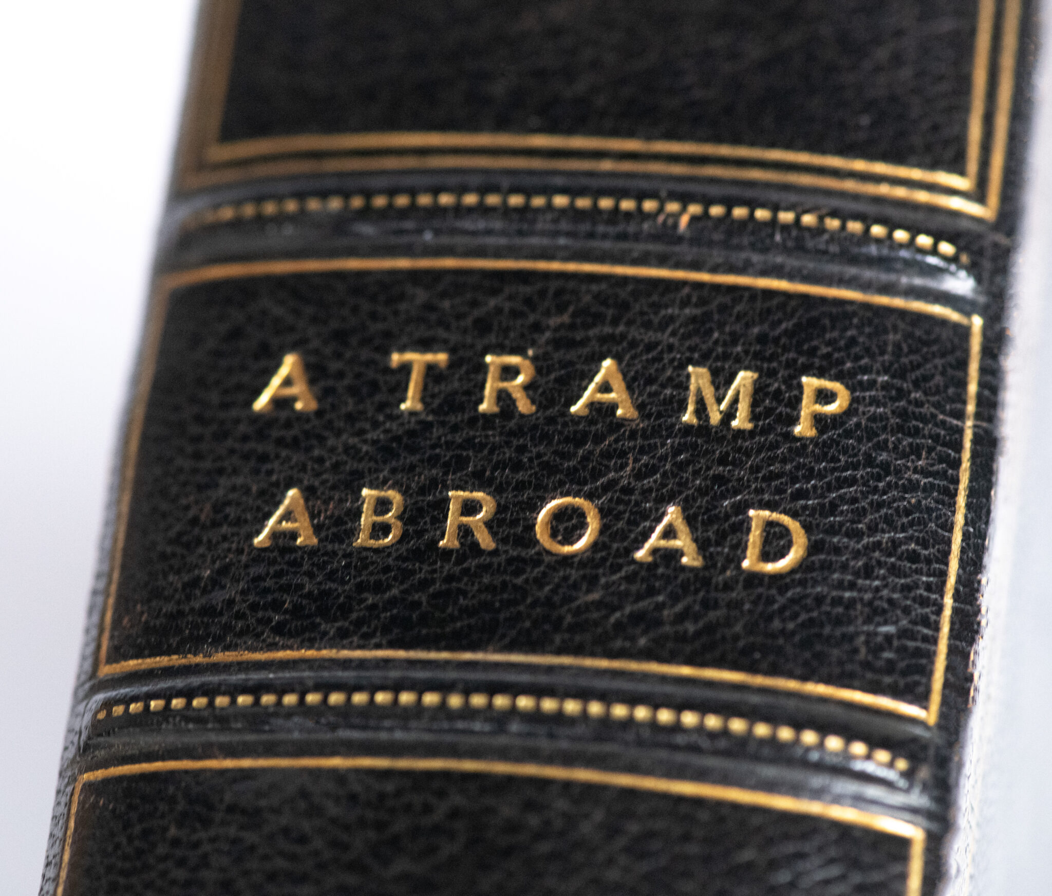 A Tramp Abroad.