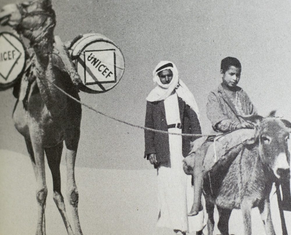 Partners: The United Nations and Youth.