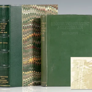 A Portrait of the Artist as a Young Man.