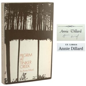 Pilgrim At Tinker Creek