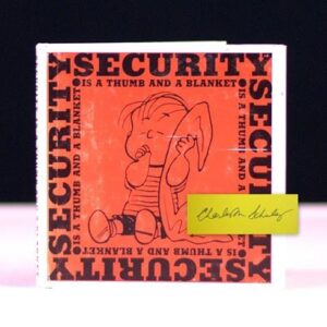 Security is a Thumb and a Blanket