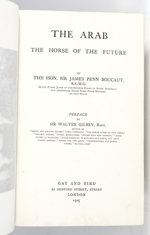 The Arab: The Horse of the Future