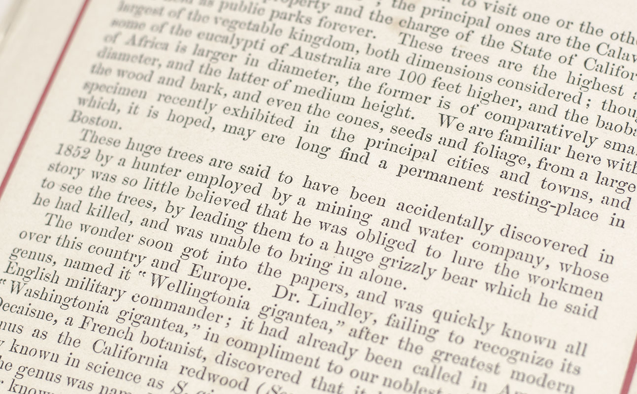 The Wonders of the Yosemite Valley, and of California