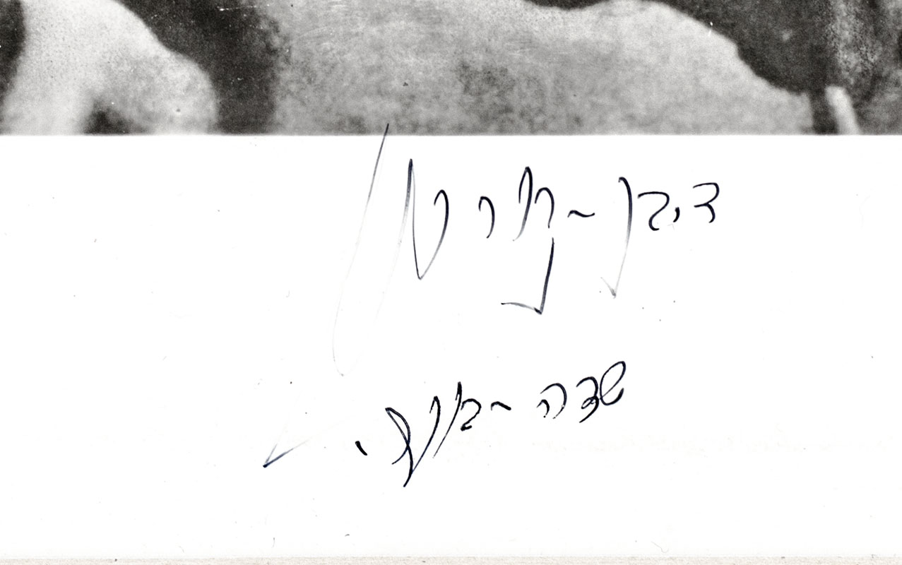 David Ben-Gurion Signed Photograph