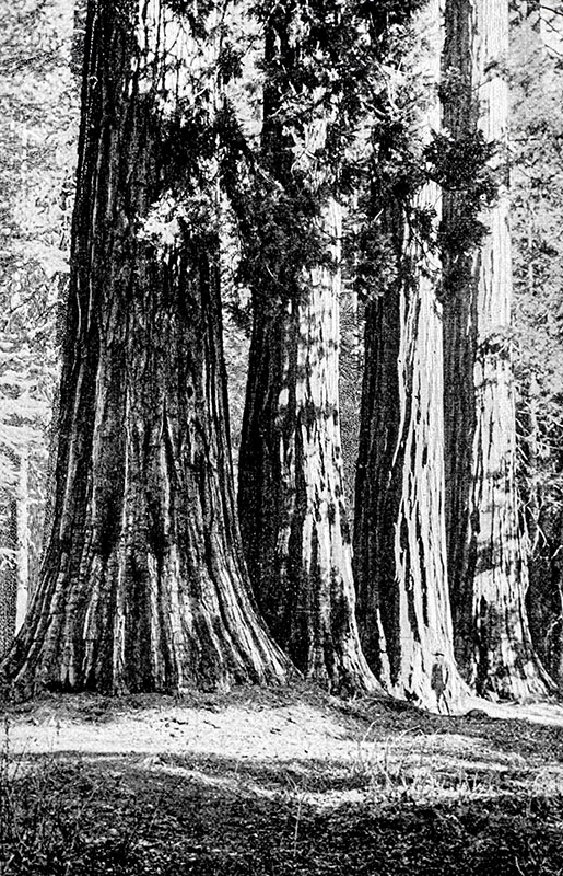Our National Parks