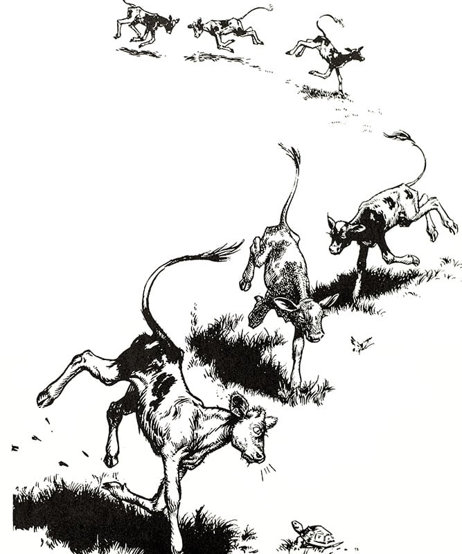 The Story of Ferdinand.