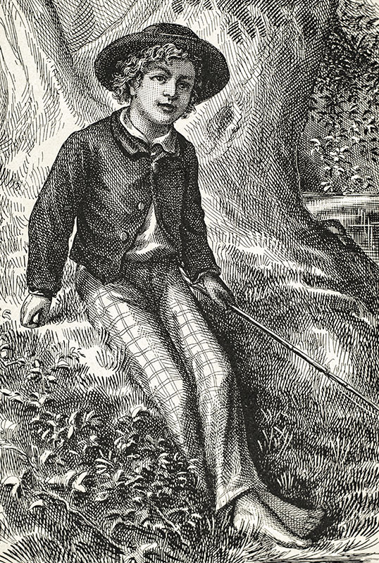 The Adventures of Tom Sawyer.