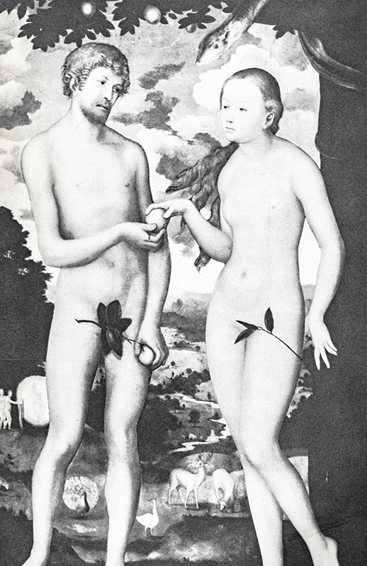 The Importance of Wearing Clothes.