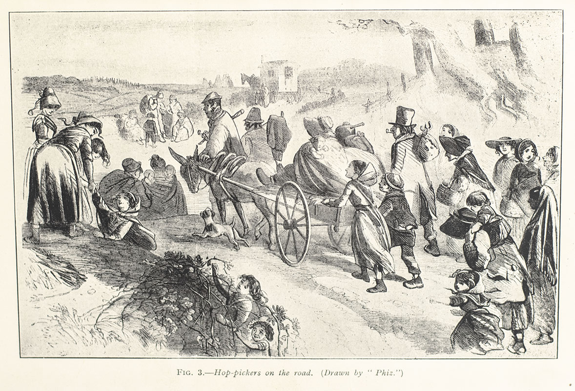 English Hops: A History of Cultivation and Preparation for the Market from the Earliest Times.