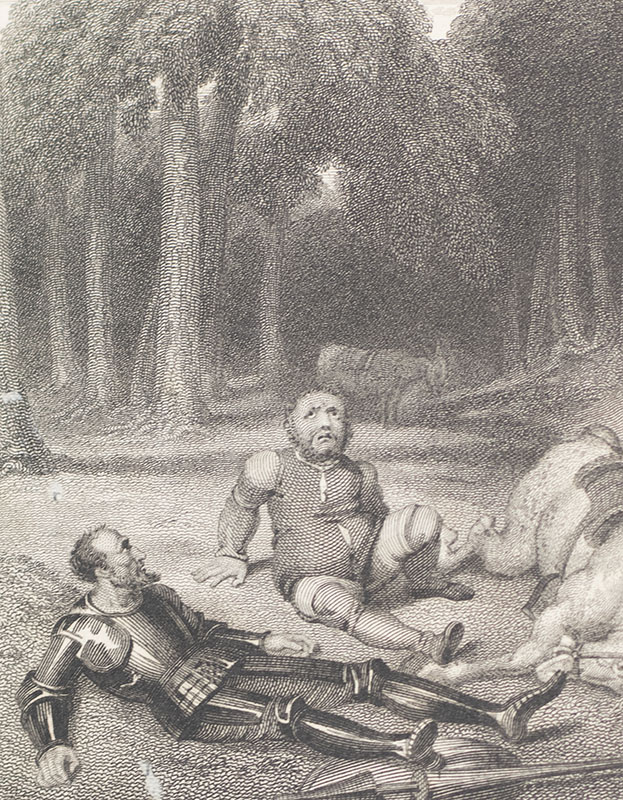The History and Adventures of the Renowned Don Quixote.