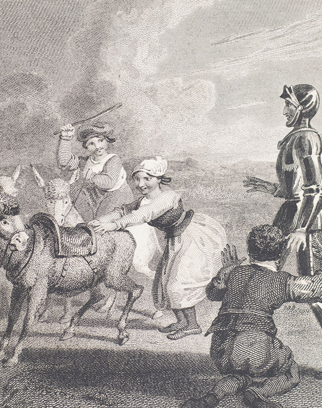 The History and Adventures of the Renowned Don Quixote.