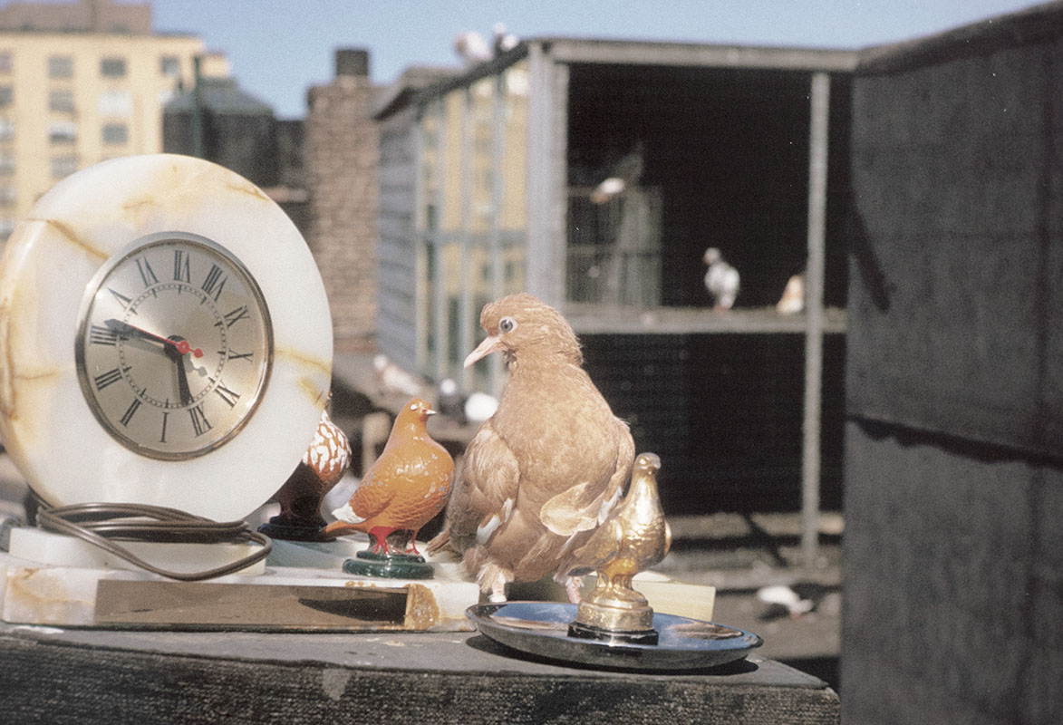 Slide Show: The Color Photographs of Helen Levitt.