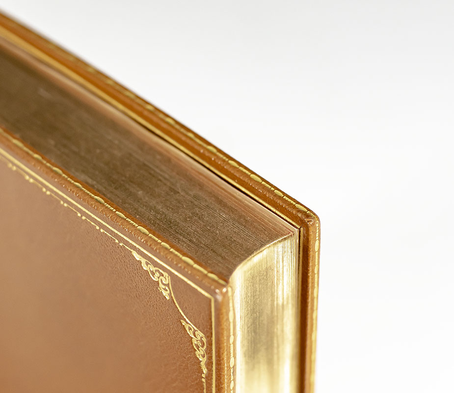 The Arthur Rackham Fairy Book: A Book of Old Favourites with New Illustrations.