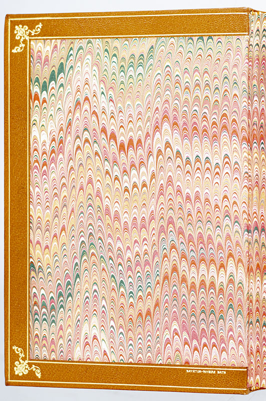 The Arthur Rackham Fairy Book: A Book of Old Favourites with New Illustrations.