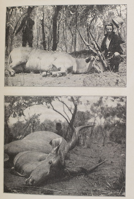 African Game Trails. An Account of the African Wanderings of an American Hunter-Naturalist.