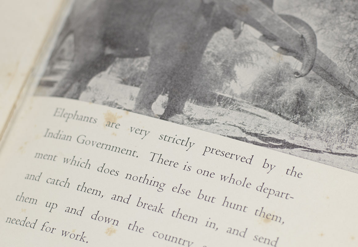 Toomai of the Elephants.