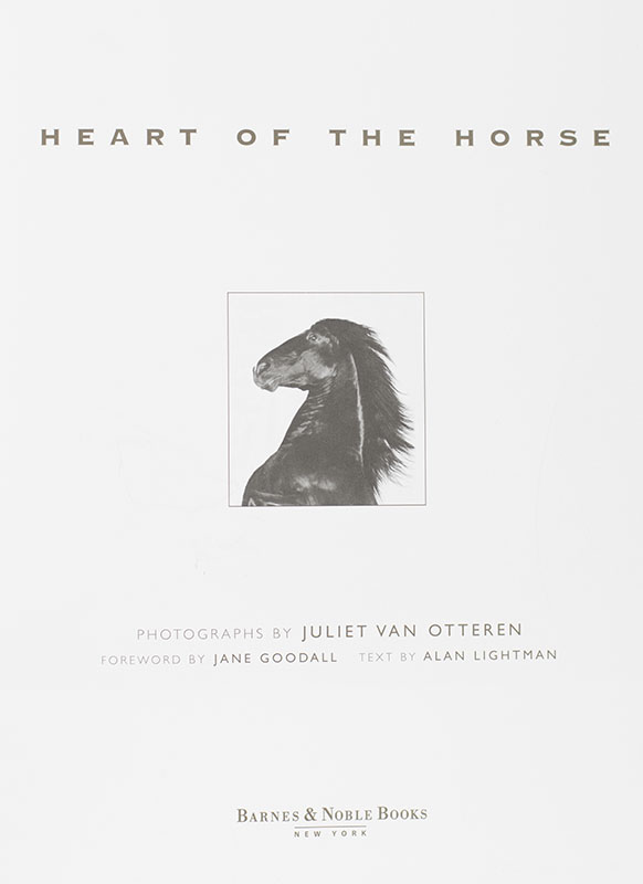 Heart Of The Horse.