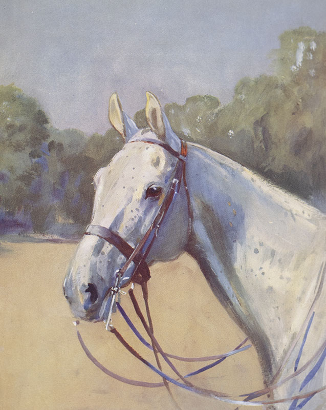 The Maltese Cat: A Polo Game of the 'Nineties.